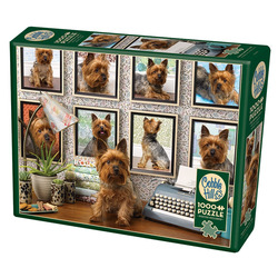 Cobble Hill: Yorkies Are My Type | 1000 Pieces Cobble Hill Puzzles