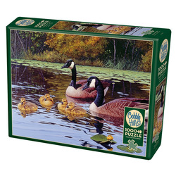 Cobble Hill: Platts Pond | 1000 Pieces Cobble Hill Puzzles